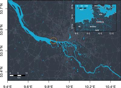 A Result of Accidental Noise Pollution: Acoustic Flowmeters Emit 28 kHz Pulses That May Affect Harbor Porpoise Hearing